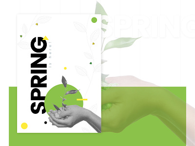 Spring : A Lovely Reminder coloful creativity geometry graphics design illustration illustrator photoshop poster design season seasons greetings spring thought