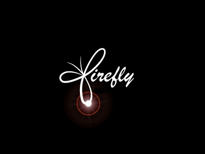 Firefly logo black branding design fire firefly fly insect light logo