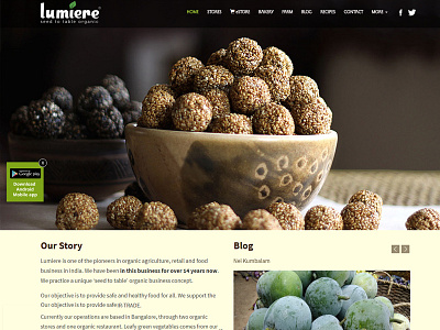 Full Webpages Layout Design for Lumiere-Seed table organic