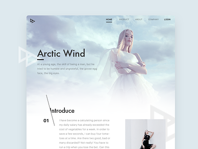 Arctic wind homepage web