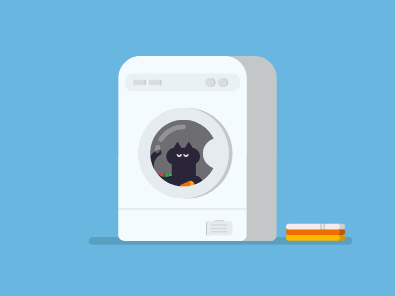 How to Clean Your Cat 101 animation animation 2d cat cat illustration charachter design flat framesequence laundry motion washing