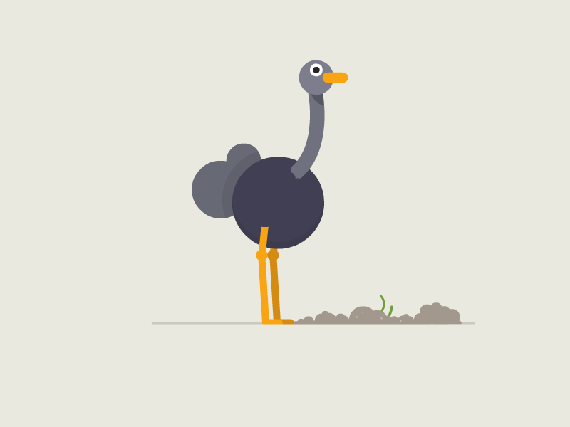 Ostrich animation bird chicken dig dirt framesequence ground motiondesign