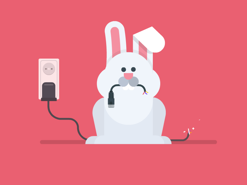 No Fluffy! 404 404 error 404 page bunny cable cute eat framesequence rabbit
