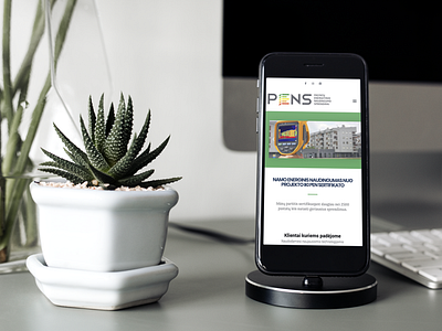 Pen's - Website Design