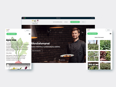 Micro Žalias - Website Design