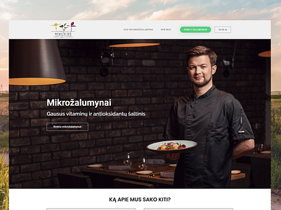 Micro Žalias - Website Design