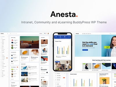 Anesta - Intranet, Extranet, Community and BuddyPress WordPress blog business design illustration web design webdesign wordpress wordpress theme wordpress themes