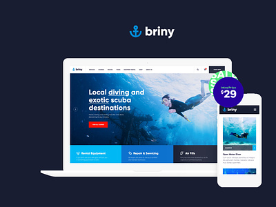 Briny | Scuba Diving & Water Sports WordPress Theme web design webdesign wordpress wordpress theme wordpress themes