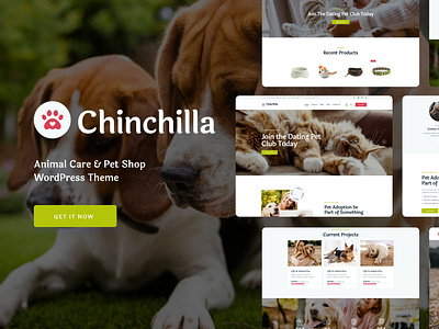 Chinchilla - Animal Care & Pet Shop WordPress Theme design illustration logo web design web development webdesign woocommerce wordpress wordpress theme wordpress themes
