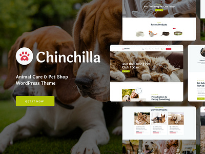 Chinchilla - Animal Care & Pet Shop WordPress Theme