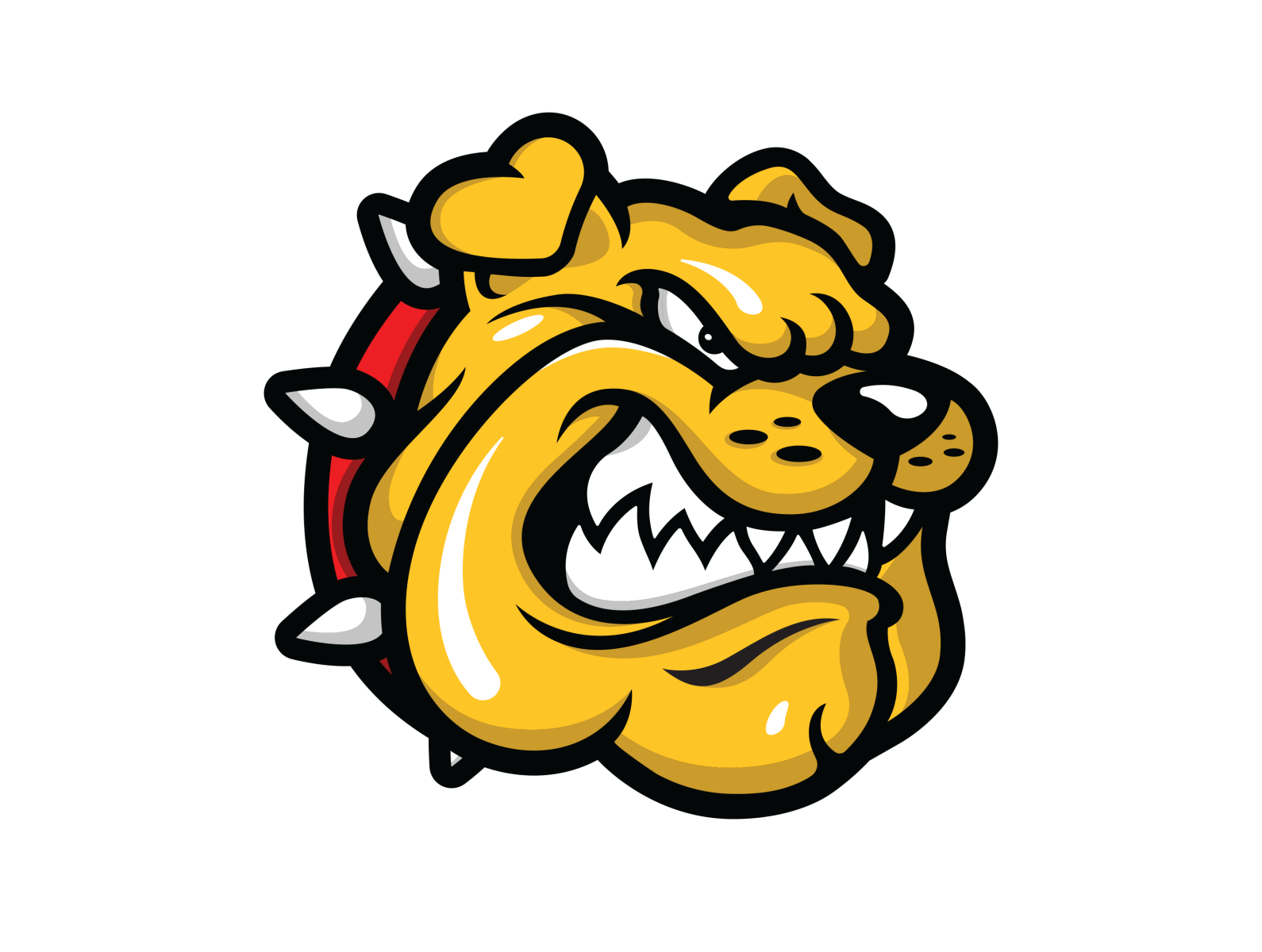 Bulldog by Zach McAllister on Dribbble