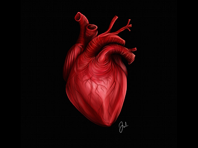 my heart is heavy anatomical heart cintiq digital painting illustration photoshop wacom