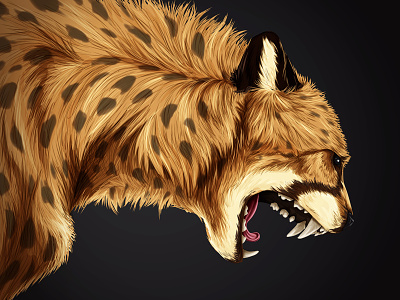 Cheetah cat cheetah illustration illustrator vector wildcat