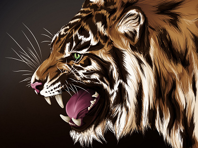 Tiger cat illustration illustrator tiger vector wildcat