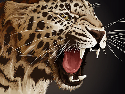 leopard cat illustration illustrator leopard vector wildcat