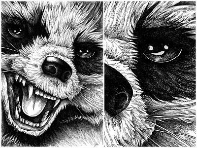 masked thief coon handdrawn illustration ink raccoon rapidograph