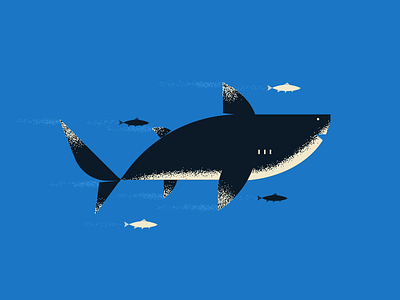 Shark animal character editorial fish flat ocean shapes shark swim texture vector