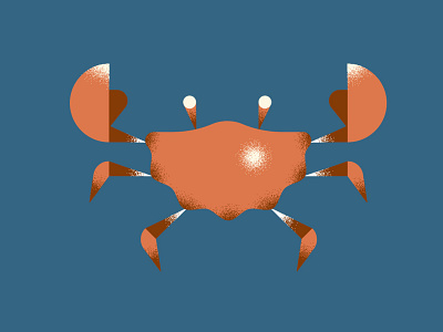 Crab animal beach character crab fish flat icon illustration sea texture vector