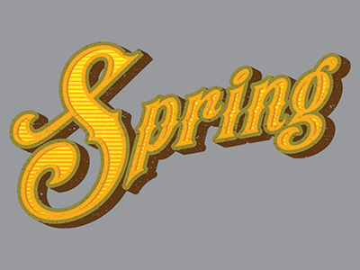 Spring Type custom design spring type typograpy