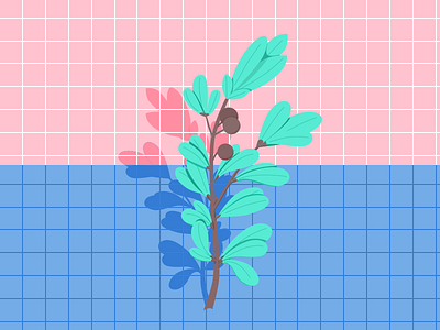 Small green plant blue green illustration pink plant