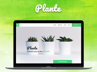Plante website green nature plante plants website