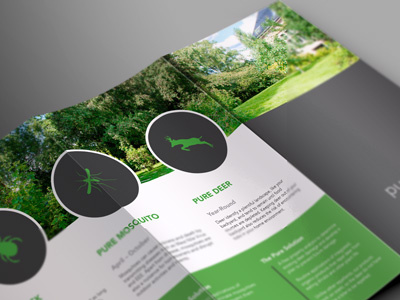 Pure Solutions Tri-fold brochure environment green print tri fold