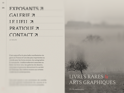 ARTS GRAPHIQUES | LANDING arts branding concept design france graphic design illustration landing landing page logo texture ui web webdesign