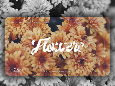 Concept design | Flowers Websites