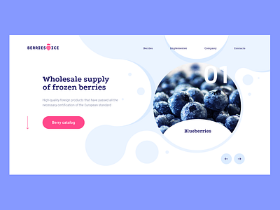 Berries Pre concept design ux ui