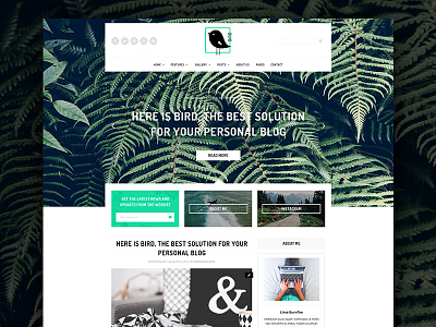 Bird   Elegant Magazine Blog PSD Template By Bohdan Bershadskyi On Dribbble