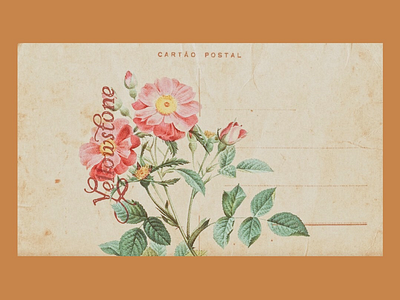 𝖥𝗋𝗈𝗆 𝖸𝖾𝗅𝗅𝗈𝗐𝗌𝗍𝗈𝗇𝖾 floral graphic design lettering postcard design vintage postcard yellowstone