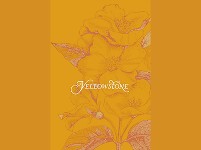 𝓨𝓮𝓵𝓵𝓸𝔀𝓼𝓽𝓸𝓷𝓮 floral graphic design illustration lettering national parks nationalparks photo editing print design rustic design travel typography wyoming yellowstone
