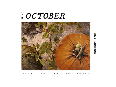 𝓞𝓬𝓽𝓸𝓫𝓮𝓻 𝓲𝓷 𝓝𝓮𝔀 𝓔𝓷𝓰𝓵𝓪𝓷𝓭 graphic design lettering new england october pumpkin pumpkin patch pumpkin picking typography