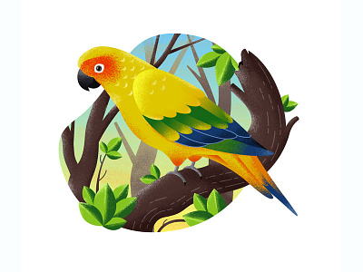 Parrot adobe bird design drawing illustration inspiration nature parrot personal project sketch texture yellow