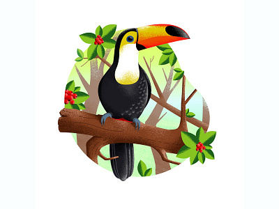 Toucan adobe bird black design drawing illustration inspiration nature parrot personal project sketch texture