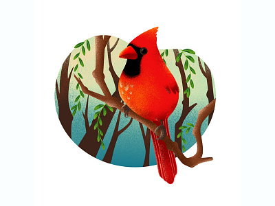 Red Robin adobe bird design drawing illustration inspiration nature personal project red red robin sketch texture