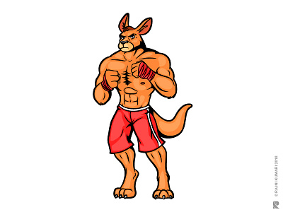 Fighting kangaroo animal design drawing graphic design gym healthy body illustration illustrator kangaroo mascot project sketch