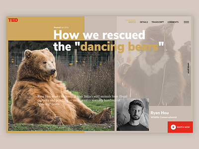 Ted talks: Bears could become extinct