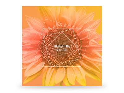 Album Art album cd cover design flower illustration logo music nature record vibrant