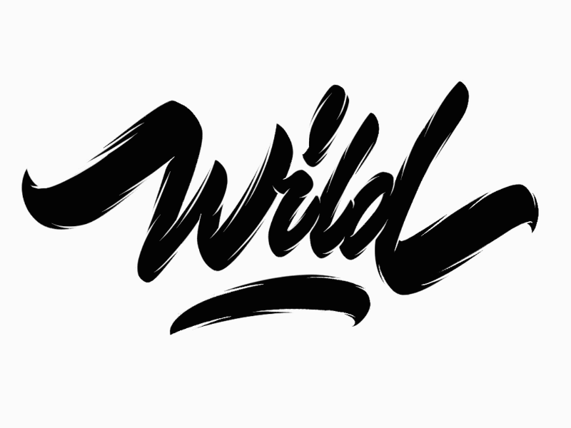 Wild Abandon adventure brush calligraphy explore forest ipad lettering logo mountains national geographic natgeo nature outdoors procreate travel wildlife