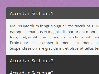 Accordian Module (HTML/CSS) accordian code dark jquery light purple texture typography web web design website