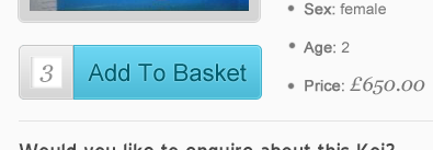 The 'Add To Basket' Feature basket feature magento