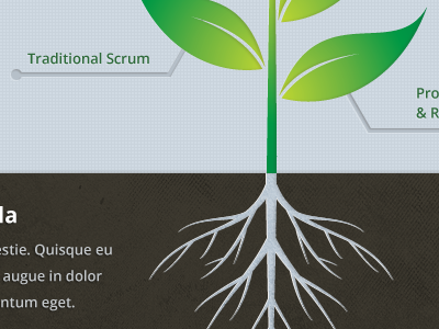 'Traditional Scrum...' dark illustration indicator light roots text texture. gradient type typography web web design