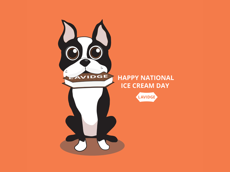 National Ice Cream Day | LAVIDGE social media animation boston terrier dog gif ice cream illustration