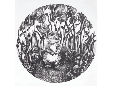 oblivious animal bunny character design graphite illustration