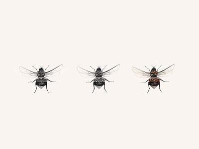 buzz buzz bees color design digital digital illustration illustration insect procreate