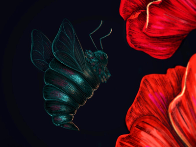 Bug. color digital digital illustration procreate