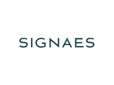 The signaes lettering branding lettering logo