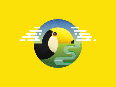 Brazilian Toucan