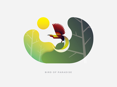 Bird of Paradise animal animal art bird bird illustration bird of paradise forest graphic design icon illustration indonesia logo ui ux